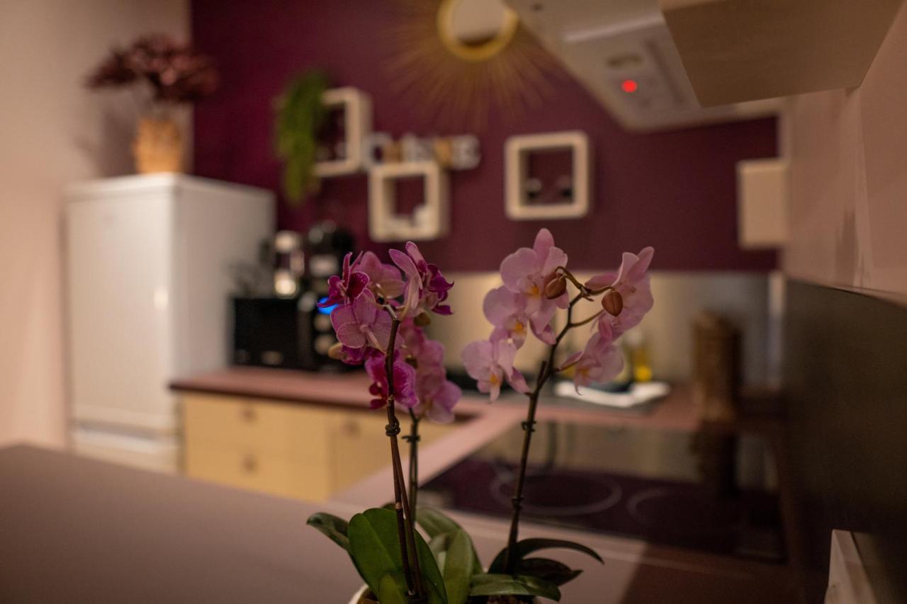 Studio Coeur De Ville Sanary Tres Cosy Parking ภายนอก รูปภาพ